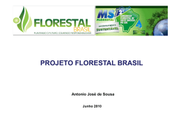 projeto florestal brasil - OPEC - Organização e Promoção de Eventos