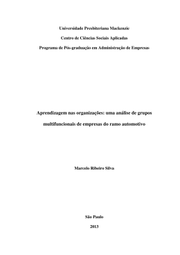 Aprendizagem nas organiza&ccedil;&otilde;es: uma an&aacute;lise de grupos