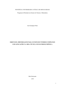 Disserta&ccedil;&atilde;o