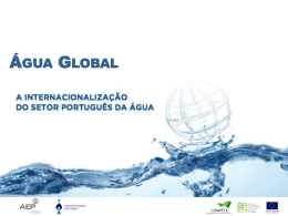 Cadeia de valor do cluster português da água: desafios e