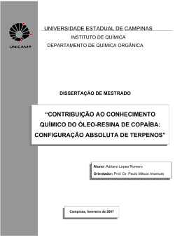 dissertao 15-08-2007 - Biblioteca do Instituto de Qu&iacute;mica