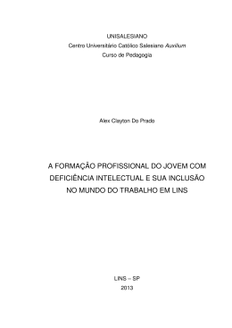 a forma&ccedil;&atilde;o profissional do jovem com defici&ecirc;ncia
