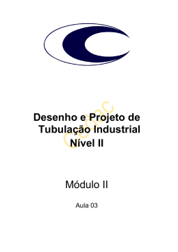 Desenho e Projeto de Tubula&ccedil;&atilde;o Industrial N&iacute;vel II
