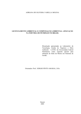 adriana de oliveira varella molina licenciamento ambiental e