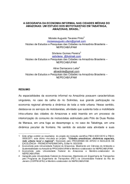 A GEOGRAFIA DA ECONOMIA INFORMAL NAS CIDADES M&Eacute;DIAS