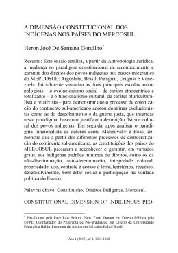 A DIMENS&Atilde;O CONSTITUCIONAL DOS IND&Iacute;GENAS NOS PA&Iacute;SES