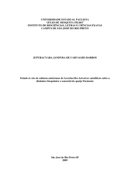 Estudo in situ de culturas aut&oacute;ctones de Lactobacillus helveticus