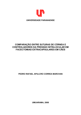Dissertao PDF