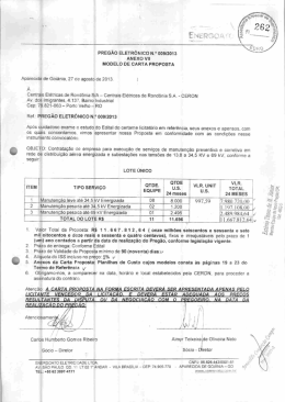 PREG&Atilde;O ELETRONICO Nf* 00912013 ANEXO vii MODELO oE