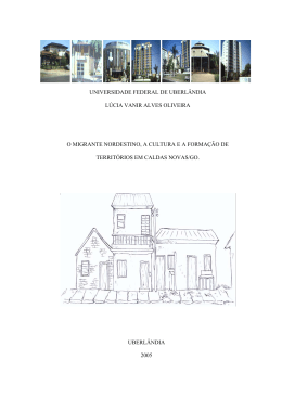 universidade federal de uberl&acirc;ndia l&uacute;cia vanir alves oliveira o