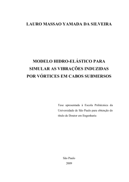 lauro massao yamada da silveira modelo hidro
