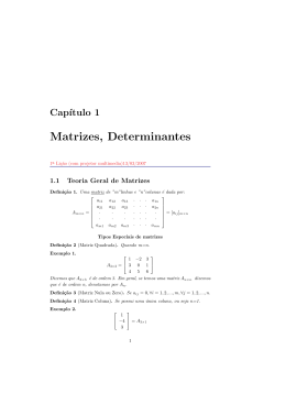 Matrizes, Determinantes