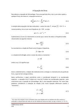A Equa&ccedil;&atilde;o de Dirac - Indico
