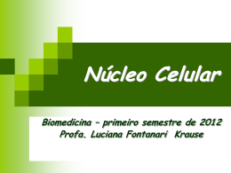 Estrutura do N&uacute;cleo Celular