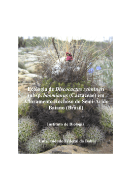 Disserta&ccedil;&atilde;o Jo&atilde;o Paulo Loyola de Oliveira