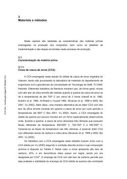 3 Materiais e m&eacute;todos - Maxwell - PUC-Rio