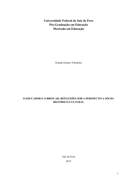 Universidade Federal de Juiz de Fora Pós-Graduação em