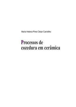 Processos de cozedura em cer&acirc;mica