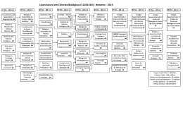 LICENCIATURA NOTURNO FLUXOGRAMA