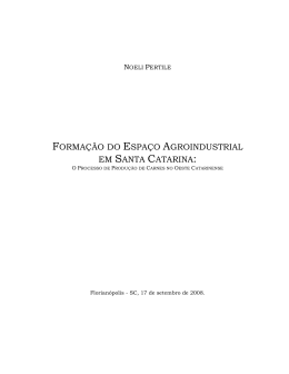 forma&ccedil;&atilde;o do espa&ccedil;o agroindustrial em santa catarina