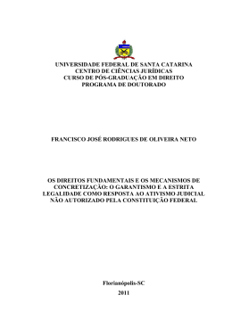 Os Direitos fundamentais e os mecanismos de concretiza&ccedil;&atilde;o: o