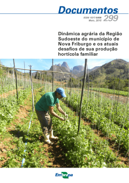 DOCUMENTO 299 - Ainfo