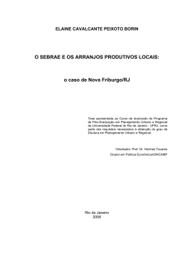 O SEBRAE E OS ARRANJOS PRODUTIVOS LOCAIS: o