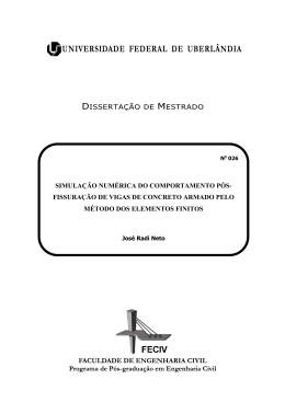 Jos&eacute; Radi Neto - RI UFU - Universidade Federal de Uberl&acirc;ndia