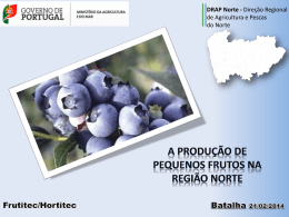 Produção de Pequenos Frutos na Região Norte