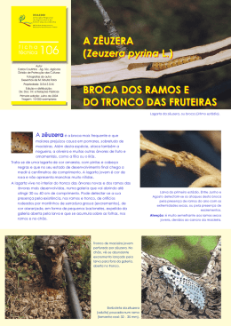 z&ecirc;uzera - Direc&ccedil;&atilde;o Regional de Agricultura e Pescas do Norte