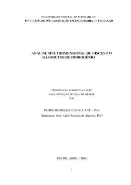 DISSERTA&Ccedil;&Atilde;O Pedro Henrique Cavalcanti Lins