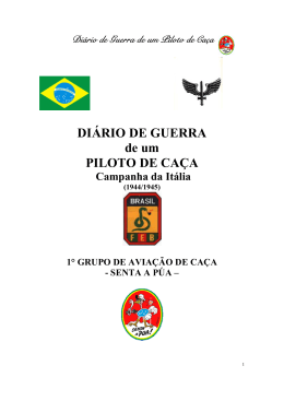 DIÁRIO DE GUERRA de um PILOTO DE CAÇA