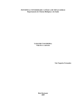 PONTIF&Iacute;CIA UNIVERSIDADE CAT&Oacute;LICA DE MINAS GERIAS