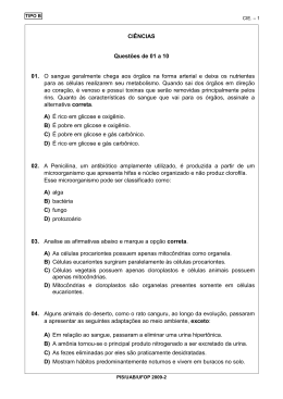 PROVAPIS09 - TIPO B