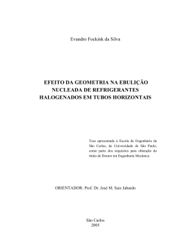 efeito da geometria na ebuli&ccedil;&atilde;o nucleada de refrigerantes