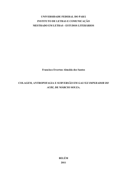 disserta&ccedil;&atilde;o completa - Universidade Federal do Par&aacute;