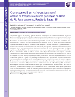 Cromossomos B em Astyanax bockmanni: análise da frequência em