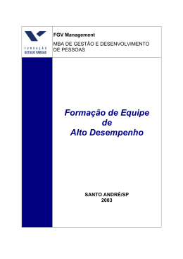 003 - Forma&ccedil;&atilde;o de equipe de alto desempenho