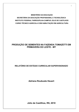 HEUERT, Adriana Roubuste. Produ&ccedil;&atilde;o de sementes na fazenda