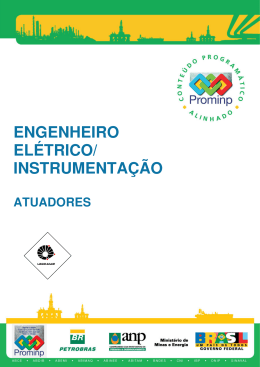 ENGENHEIRO EL&Eacute;TRICO/ INSTRUMENTA&Ccedil;&Atilde;O