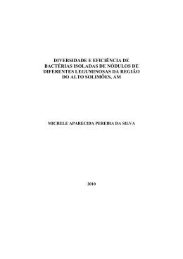 DISSERTA&Ccedil;&Atilde;O_Diversidade e efici&ecirc;ncia de bact&eacute;rias