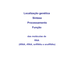 tRNA - Biologia Molecular e Genética