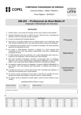290-291 &ndash; Profissional de N&iacute;vel M&eacute;dio IV
