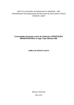 Disserta&ccedil;&atilde;o_ Camila de Ara&uacute;jo Couto - BDTD