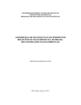000787211 - Reposit&oacute;rio Institucional da UFRGS