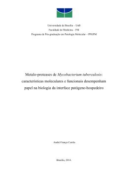 Metalo-proteases de Mycobacterium tuberculosis: características