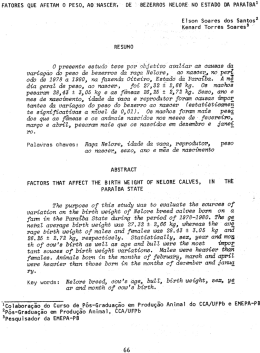 Arquivo em PDF