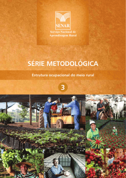 S&eacute;rie Metodol&oacute;gica - Volume 3