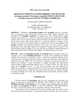 desenvolvimento ectomicorrizico, em mudas de eucalyptus grandis