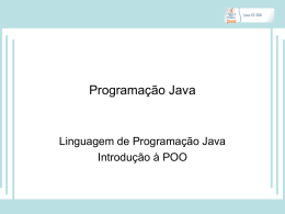 Programa&ccedil;&atilde;o Java